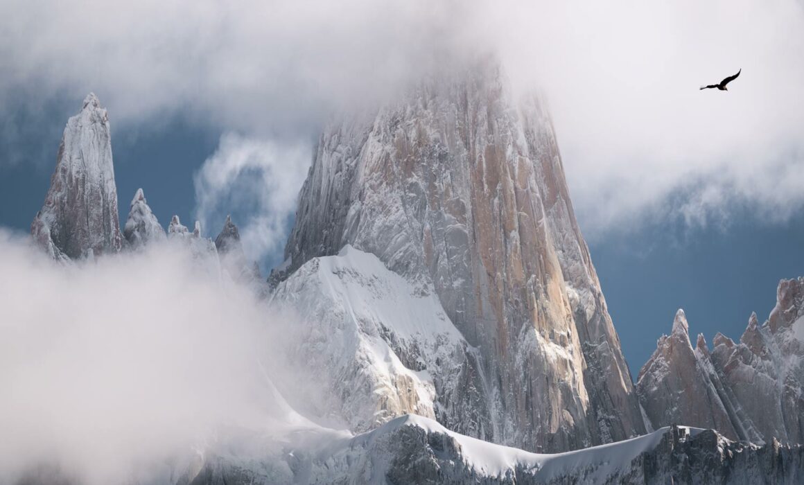 A lone condor flies by the Mt Fitzoy massif in Patagonia photographed by Nick Fitzhardinge.