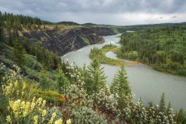 Yellow wildlfowers and rapids along the Bow River are witness to passing mammatus clouds overhead photographed by Nick Fitzhardinge.