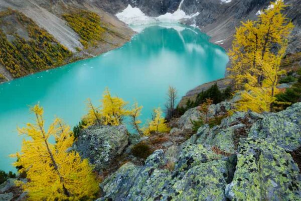 The Lake of the Hanging Glacier and lichen covered boulders are framed by larch trees photographed by Nick Fitzhardinge.