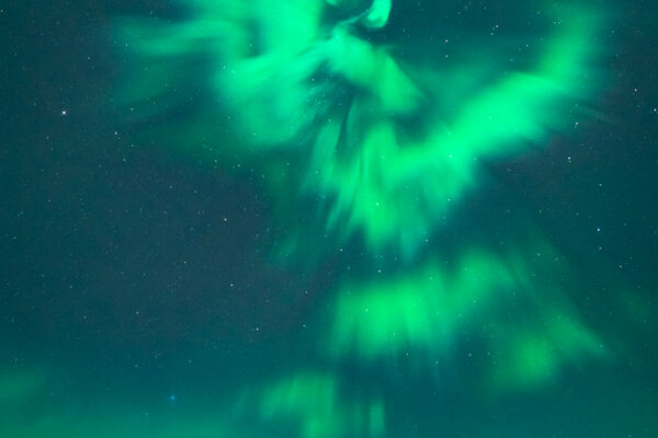 Green northern lights flashing above the Three Sisters in Canmore appearing like a phoenix or eagle.